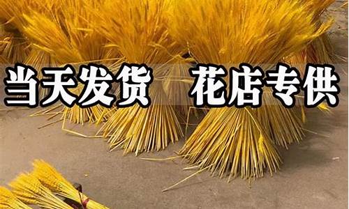 大麦财经美黄金24小时直播室(大麦理财官方网站)_https://www.mfrzs.com_原油期货开户_第2张